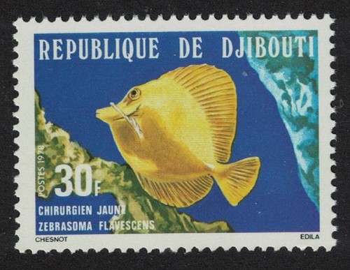 Yellow tang fish - tang,