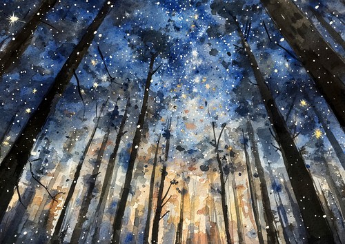 Starry forest night - starry,