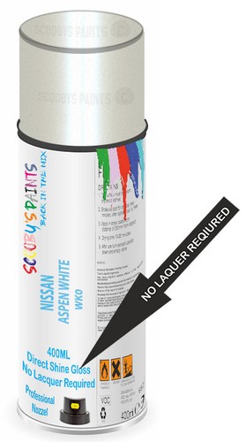 Aerosol spray paint - paint, nissan
