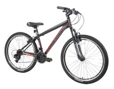 Lion 21 Speed Mens Boys