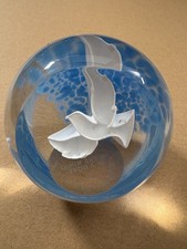 🕊️ Caithness On The Wings