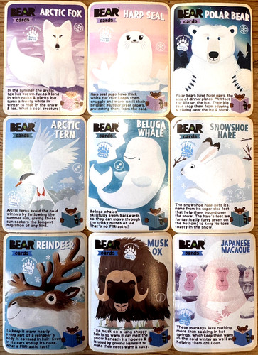 Yoyo bear animals full - yoyo,