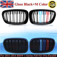 2X M Color Front Kidney