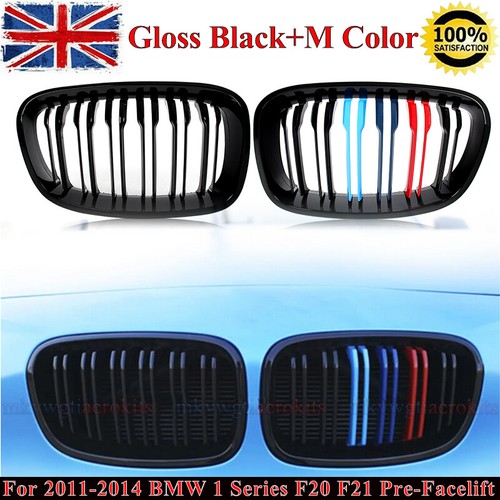 Color front kidney - 2x,