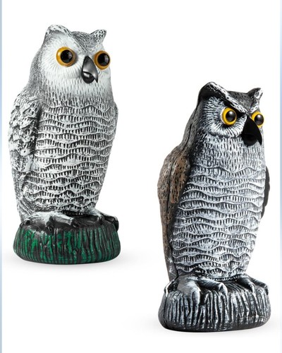 Owl decoy statues - owl,