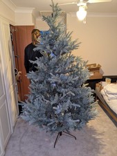 John Lewis St. Petersburg