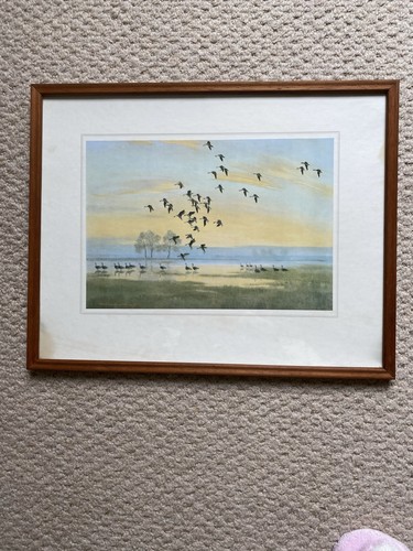 Peter scott print - peter,