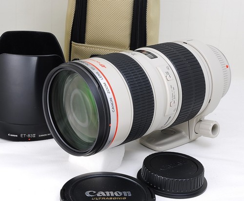 Canon 200mm 8 - 70-200mm, l