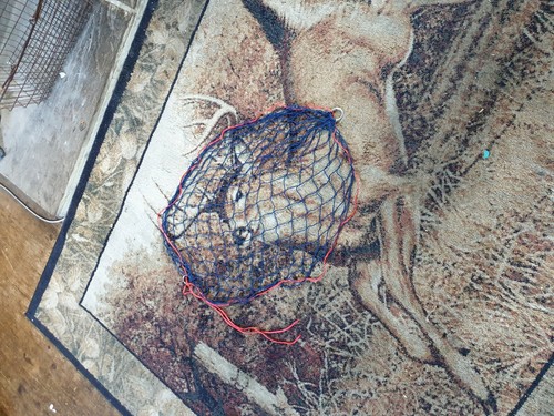 Rabbit purse nets