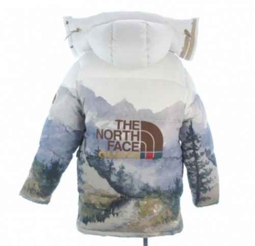 Used new north - face, down