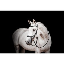 Horseware Micklem 2