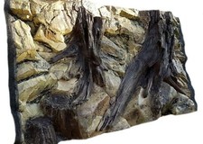 Aquarium background for - aquarium,