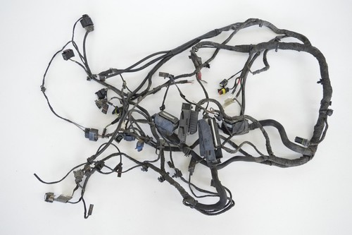 2006 bmw f800st - bmw, harness