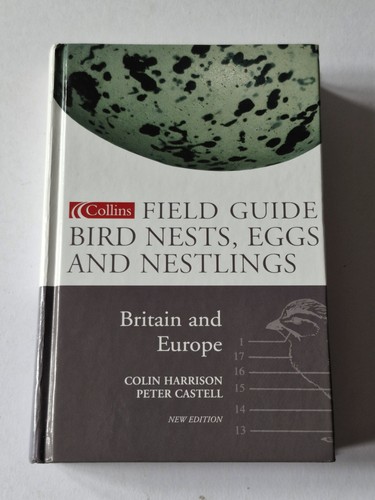 Bird nests eggs and nestlings - eggs,
