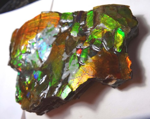 Ammolite color gemstone - ammolite,