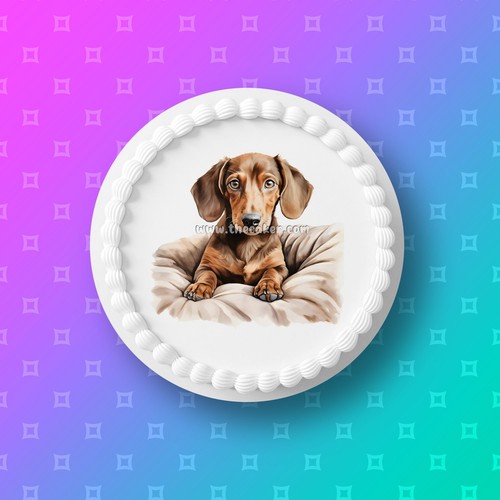 Dachshund sausage dog 05 - /,