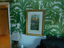 Adrian Rigby Limited Edition 210/350 Framed Print of Parrots