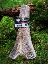 Scottish Red Deer Antler Dog Chew - Long Lasting - Full of Minerals 100% Natural
