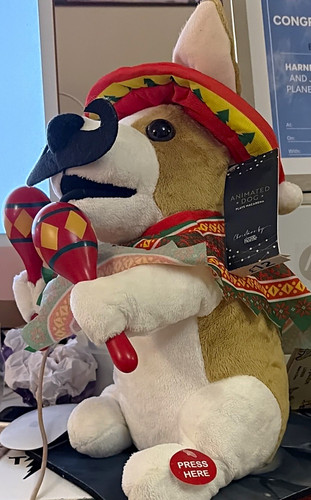 Bnwt george animated dog - bnwt,