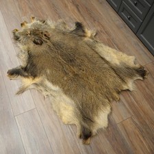 Used wild boar - used, fur