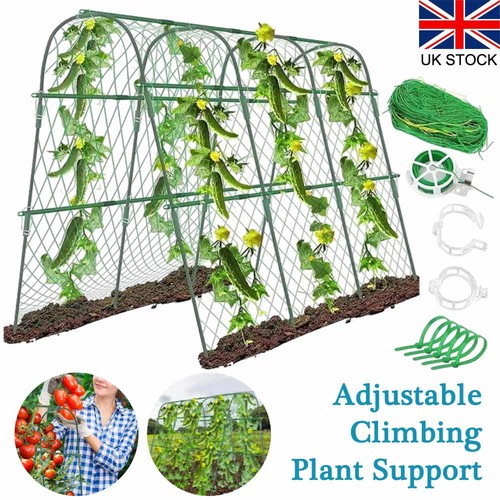 Frame climbing plant support - climbing,