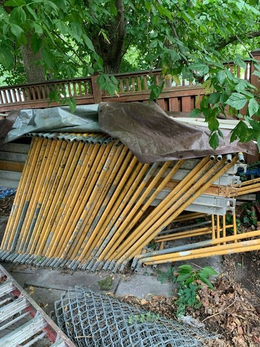 Scaffolds x 7 read - scaffolds,