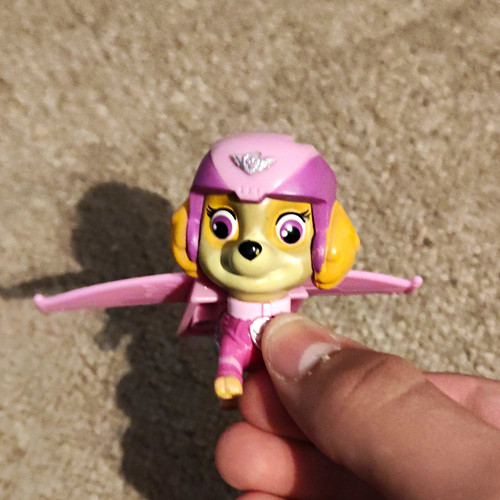 Nickelodeon paw patrol - paw, skye