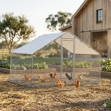 10ft Walk-in Metal Chicken