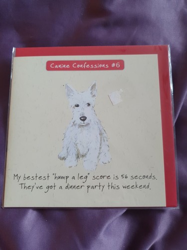 Dog birthday card funny - ,