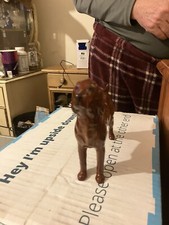 BESWICK RED SETTER VINTAGE DOG