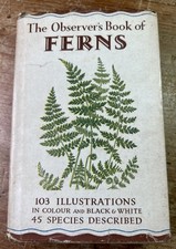 Observer’s Book Of British Ferns 1950 1st Edition Observer Book British Ferns