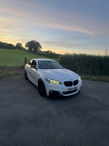 2014 bmw series 220i - 220i, m