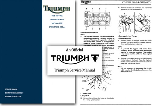Triumph speed triple t509 t595 - triumph,