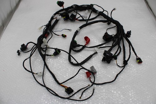 Genuine main wiring harness - wiring,