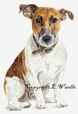 ACEO 2.5" X 3.5"  'Jack Russell #2' Dog Ltd Edition CANVAS PRINT of Watercolour 