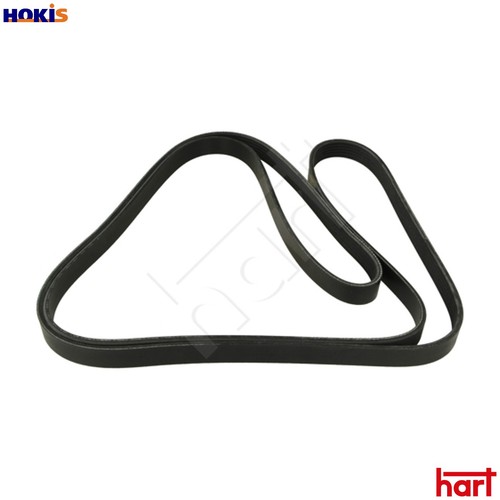 Vribbed belt 917 774 for - 774,