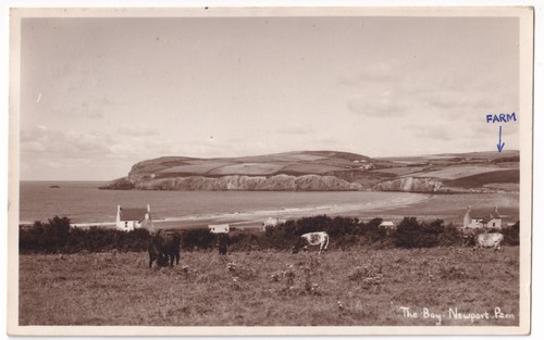 Newport pembrokeshire wales - newport,