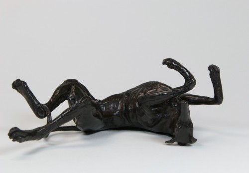 Greyhound lurcher back - lurcher, on
