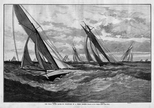 Yacht races windward fresh - yacht,