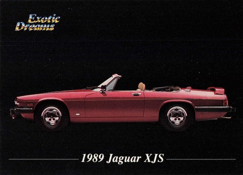 Exotic dreams jaguar - exotic,