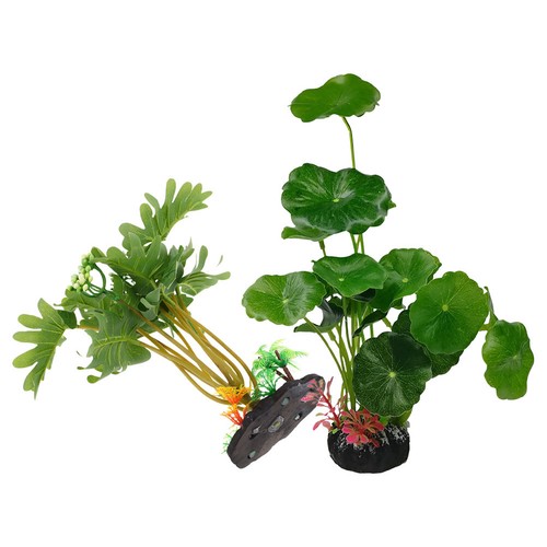 Pcs tropical fish - 2,
