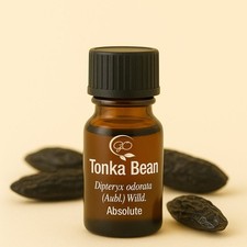 Tonka Bean Absolute –