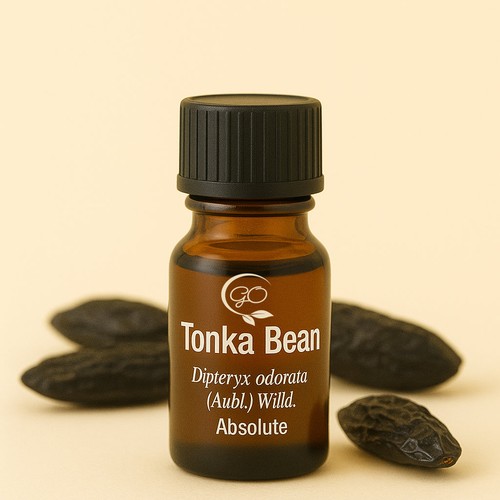 Tonka bean absolute - absolute, (dipteryx
