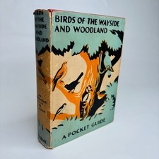 Birds of the Wayside &