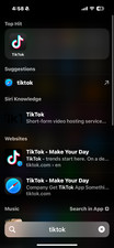iPhone 16 With TikTok