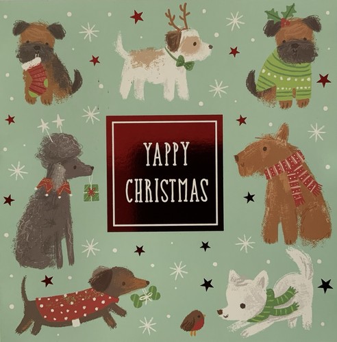 Boxed christmas cards dogs - christmas,