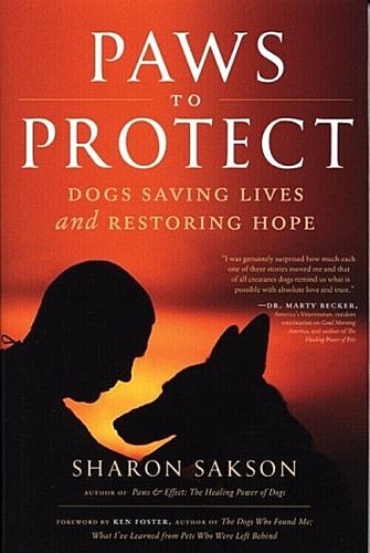 Paws protect dogs - paws, saving