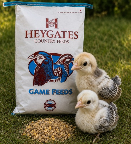 1kg chick crumb heygates - chick,