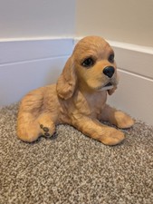 The lenox breed puppy - lenox,