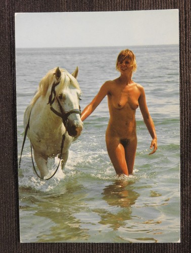 French photo postcard nude - french,
